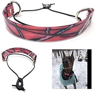 Sparky Pet Co - ECollar Replacement Strap - Bungee Dog Collar - Waterproof - Adjustable - Secure Nexus Wheel Lock - for Electronic Training & Invisible Fence Systems - 1
