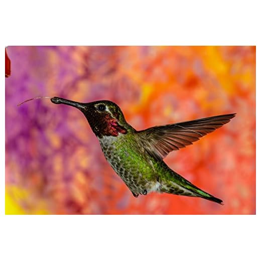 Sigma 105mm f/1.4 Art Lens for Nikon