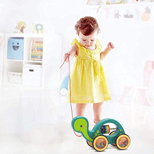Toddler Push & Pull Toys, Pull-Along Baby Toy with Rubber Rimmed Wheels for Easy Push and Pull Action, Family Early Learning and Motor Skills Toy, Best Birthday Gifts for Pre-Kindergarten(Tortoise)