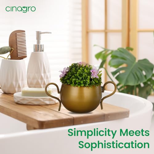 Image of CINAGRO Metal Flower Vase Planter Pot, Pots for Plants, Plant Pots for Home Decoration, Succulent Pot, Indoor Planter Garden Decor Style: Petal Palette