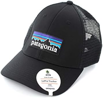 patagonia snapback