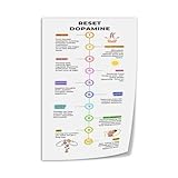 How To Reverse Dopamine Damage Poster (2) Canvas Print Wall Art Decor Living Room Office Bedroom 12x18inch(30x45cm) Unframe-style