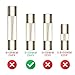 GMA 250mA 250V Fast-Blow Fuses - 5-Pack, Precision Circuit Protection for Multimeters, Electronics, and Appliances