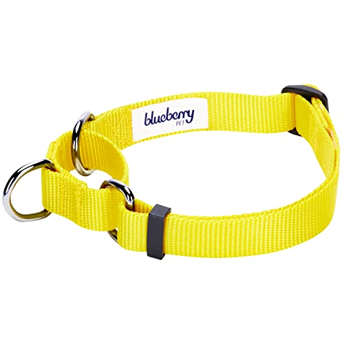 Collier chien martingale Blueberry Pet jaune S en polyester nylon résistant