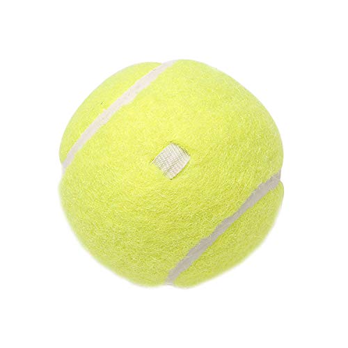 payanwin Tennis Trainer Ball, Solo Equipment Practice Training,Tennis Ball on a String,Tennis Accessories. (Pro Tennis Balls x 6) - Image 3