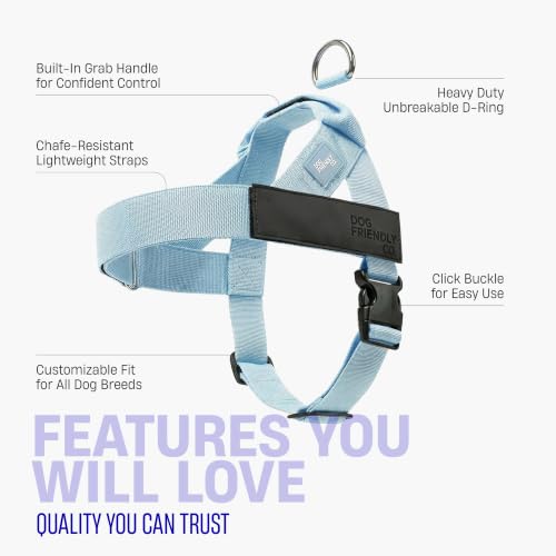 Image of Dog Friendly Co. Dog Harness for Medium Dogs (Sky Blue, Medium)