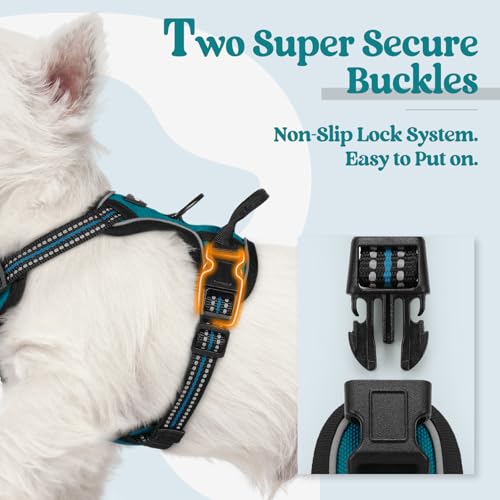 Image of rabbitgoo Dog Harness No Pull with 2 Leash Clips, Adjustable Soft Padded, Reflective Oxford No Choke Pet Vest with Easy Control Handle for Puppy, Blue Coral, XS | No Choke, Adjustable, Breathable Padded, 2 Lead Rings, Reflective, Easy Control for Walking Training, XS, Blue Coral