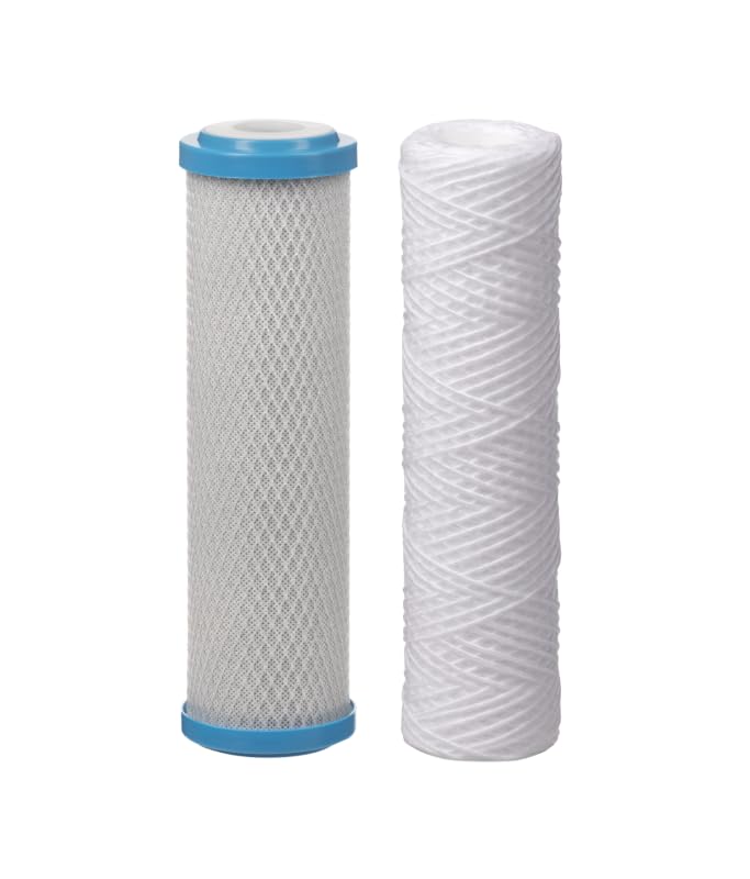 Dualofiltre Anti-goût Apic : Filtre anti-impuretés et anti-goût, équerre + clé