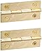 Darice 9142-26 Brass Hinges 2 Holes (Set of 2)