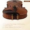 MV7000 Amzing One piece back !4/4 Full size Handcrafted violin.Strad-style .For Advanced and Professional Players.with Oblong case, shoulder Rest, Bow.