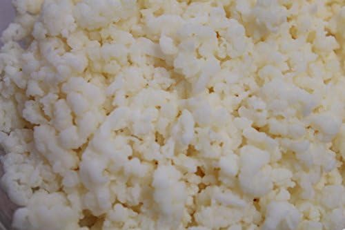 Lifetime Kefir Milk Kefir Grains by Lifetime Kefir