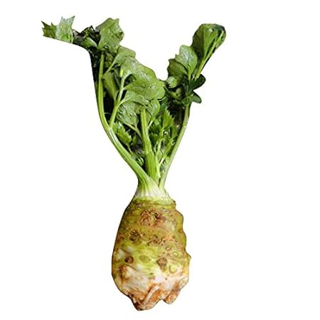 Nema Root Celery seeds - 100 Pcs