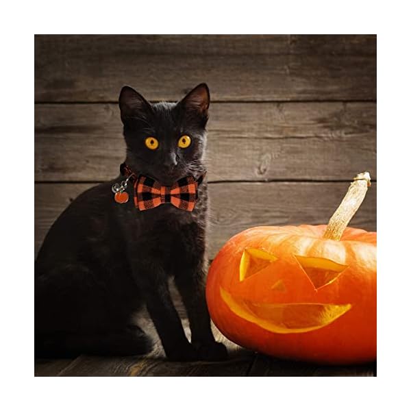 Stmk 2 pack holiday cat bandana collar with bell, breakaway halloween thanksgiving day fall cat kitten bandana collar with bell & diy pumpkin maple leaf for holiday cats kittens costume decorations - image 8