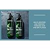 New-York-Biology-Tea-Tree-Shampoo-and-Conditioner-Set--Deep-Cleanser--Relief-for-Dandruff-and-Dry-Itchy-Scalp--Therapeutic-Grade-Helps-Promote-Hair-Growth--169-fl-Oz New York Biology Tea Tree Shampoo and Conditioner Set – Deep Cleanser – Relief for Dandruff and Dry Itchy Scalp – Therapeutic Grade - Helps Promote Hair Growth – 16.9 fl Oz