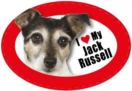 Oval Pet Magnet - Jack Russell Terrier