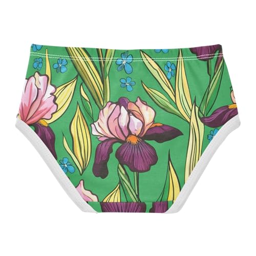 Cotton Toddler Girls Underwear Irises Pink Purple Green Little Girl Panties Cartoon Briefs Undies Kids 2t2