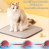 Chewie Rolling Ball, Interactive Cat Toys Rolling Ball, Hundespielzeug Unzerstörbar, Interaktives Hunde Balls Spielzeug mit USB Aufladbar, Smart Automatisch Rollender Balls für Kleine, Mittlere Hunde