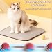 Chewie Rolling Ball, Interactive Cat Toys Rolling Ball, Hundespielzeug Unzerstörbar, Interaktives Hunde Balls Spielzeug mit USB Aufladbar, Smart Automatisch Rollender Balls für Kleine, Mittlere Hunde
