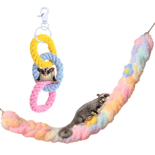 Maiitmor K  tNK P[W ݂艺 [v  2_Zbg (pXe)