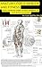 Anatomy For Strength And Fitness : An Illustration Guide To Transform Your Body And Your muscle In Action (English Edition)
