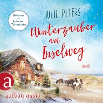 Winterzauber am Inselweg - Friekes Buchladen, Band 5 (Ungekürzt) - Julie Peters