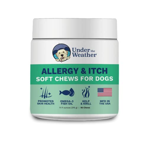 Stunning Under The Weather Dog Food Background Concept Stunning Under The Weather Dog Food Background Concept