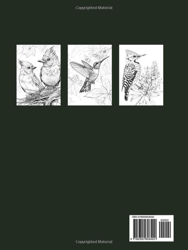 Birds and Flowers, a Wildlife Coloring Book Activity for Teens, Adults, and Seniors: Stress Relief Art Therapy with Easy, Cute Animals and ... Books ... Books Set for Teens, Adults, and Seniors) image 3