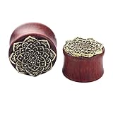 BWDHJLEY - Juego de dilatadores de madera, diseño de mandala, color marrón rojizo, diseño vintage con oreja, madera y acero inoxidable, 2 piezas, 10mm, Acero inoxidable, No Gemstone