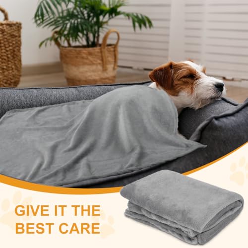 Aomig Hundedecke Katzendecken Waschbar Flauschig Decken Super Weich Fluffy Haustier Decken Kleine Mittlere Grosse Hunde Katzen Sofaschoner aus Coral Fleece für Transportbox Autos Betten Grau 95 * 80cm