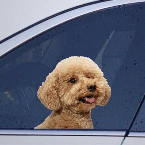 Image of Poodle Dog Stickers - Funny Pet Dog Lover Gift Vinyl Die Cut Decals for Car, Laptop, Bumper