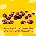 Raisinets Milk Chocolate Covered Raisins, Gluten-free California Chocolate Raisins, Resealable Bag, 8.0 oz