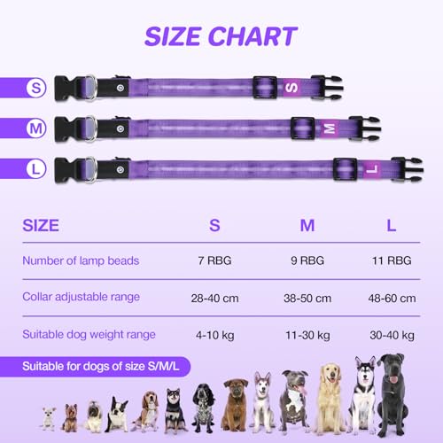 50% Off RUXAN Light Up Dog Collar for Night Walking Safety