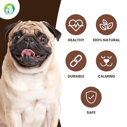 Dilecti Olive Wood Dog Chews, Natural Dense Hardwood Stick, Long-Lasting Dental Care Chew Toys with Antioxidants - Image 3