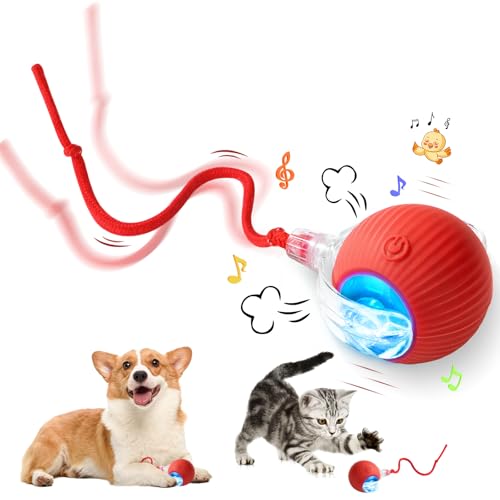 Image of Interactive Cat Toy - Cat Toys For Indoor Cats Smart Silicone Rolling Ball With Tail,Bird Sound,Obstacle Avoidance And Motion Activated,Kitten Puzzle Toys (Red)