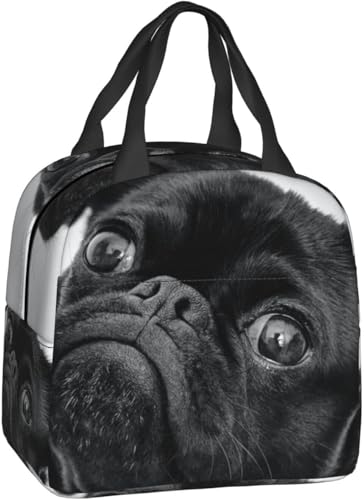 jp  e ۉ 񂰂ٓ y fM 킢̃pO Hi[ ۉobO ʋ t@Xi[t  ۗ⃉`obO y \tg@\ ٓobO g[gobN