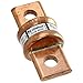 FUSE CRTRDGE 100A 600VAC/300VDC (Pack of 1)