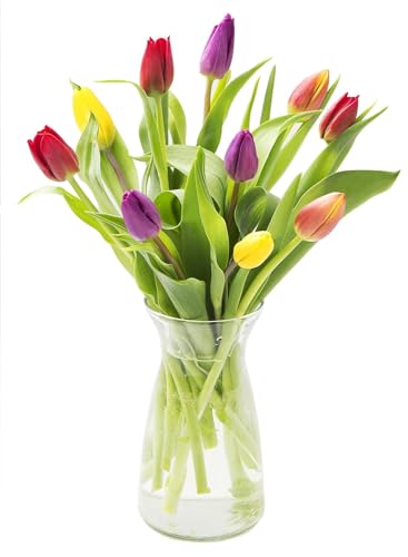 Image of KaBloom-10 Assorted Tulip Bouquet,Flowers for Valentine, Mother's Day
