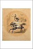SANS CADRE Herbé ™ Poster/Reproduction HQ 40x60cm d\'une Gravure Ancienne/Rétro Circus/Cirque ECUYèRE
