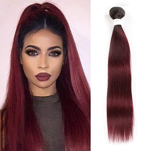X-TRESS Ombre Wine Red Straight Human Hair Bundles 100% Human Hair Single Bundle Ombre 99J Hair Weave Brazilian Human Hair Extension Wine Red Bundles (26 Inch, T1B/99J)