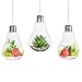 EssenceLiving Lot de 3 terrariums en verre en forme d’ampoule à suspendre pour plantes, Verre, transparent, open big mouth