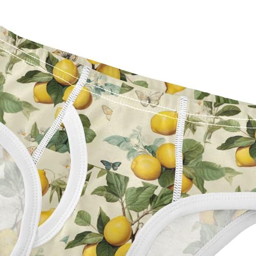 Boys' Exclusive Briefs Toddler Underwear 95% Combed Cotton Boxerbriefs 2T Lemon Butterfly Leaf 654