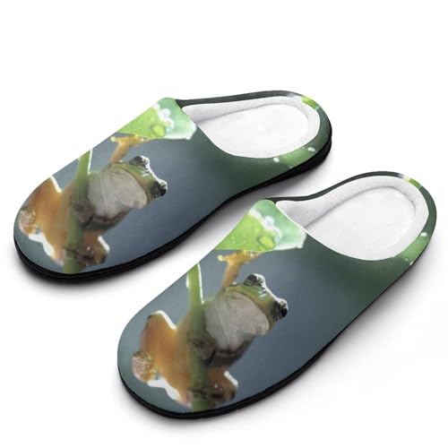 [ZKCASA] Xbp Ă̊^ JG A}KG [V[Y   qp h  g 􂦂 ~ jp I[V[Yp 9-10i40-41j