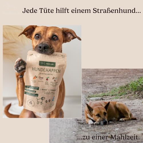 Hunderunde – Hundehappen Schlafmütze 3×125 g – vegane Hundeleckerli mit Hanf, Baldrian & Kamille – reich an B-Vitaminen – glutenfrei & beruhigend – ideal für Sensible Hunde – entspannende Hundesnacks