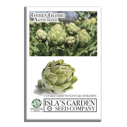 Green Globe Artichoke Seeds (Cynara cardunculus VAR. scolymus) – 50+ Non-GMO & Heirloom Seeds, Tender Edible Buds, Perennial Gourmet Vegetable for Home Gardens, by Isla’s Garden Seeds, Gift Idea