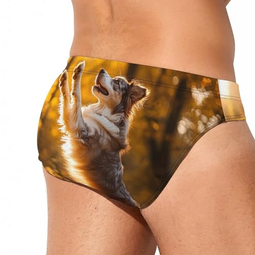 Australian Shepherd Autumn Men's Swim Brief Sexy Bikini Swimwear Swimsuit Trunks Bathing Suits3