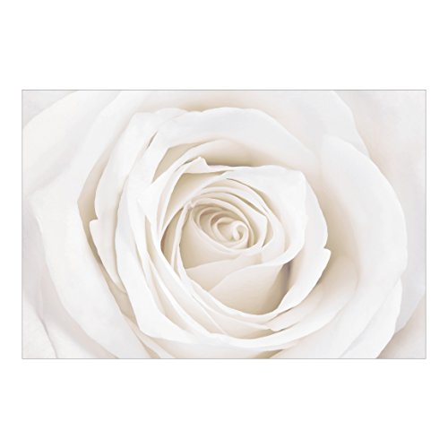 Bilderwelten Fotomural - Pretty White Rose - Mural apaisado papel pintado fotomurales murales pared papel para pared foto 3D mural pared barato decorativo, Dimensión Alto x Ancho: 190cm x 288cm