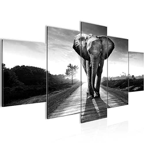 Runa Art - Tableau Afrique Éléphant 200 x 100 cm 5 Parties XXL Decoration Murale Dessin Noir Blanc 042651c