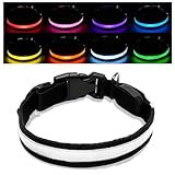 TNSLAND Hundehalsband Leuchtend, Leuchthalsband Hund LED Wasserdicht Verstellbar, mit 3 Modi Blinklicht, Sicheres Leuchtendes Halsband für Kleine Mittlere Hunde, Hunde Leuchthalsband USB Aufladbar