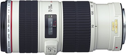 canonのおすすめ望遠レンズの比較 レビューまとめ 安い中古からlレンズまで たにおーのザツオタ日記 canonのおすすめ望遠レンズの比較 レビューまとめ 安い中古からlレンズまで たにおーのザツオタ日記