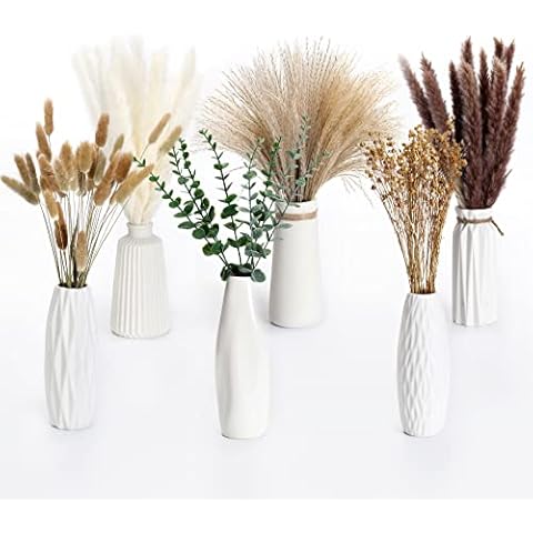 Pampasgras Getrocknet Set Natürliche Trockenblumen Braun Weiß Pampasgras Flauschige WedelTrockenblumen Strauß Dried Flowers Heim Decor Cover